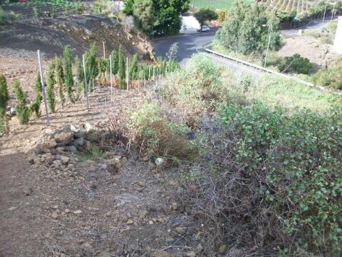 Parcela en LOS HOYOS