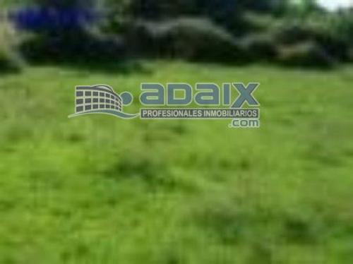 VENDE TERRENO EDIFICABLE DE 10.000 M2 EN SALAS