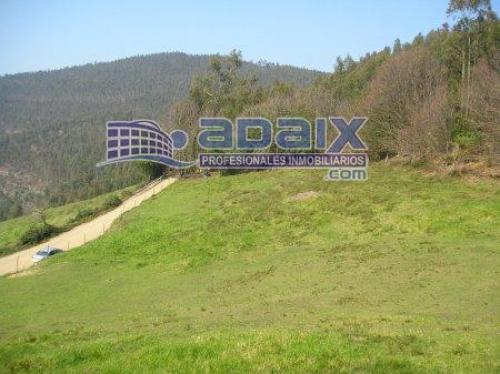 VENDE TERRENO EDIFICABLE DE 6500 M2 CON TODOS LOS SERVICIOS