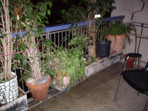 Piso de Alquiler en Badalona Zona del CENTRO tiene suelo