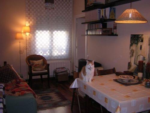 Piso en alquiler en Sants. 60m2 tres habs. un baño