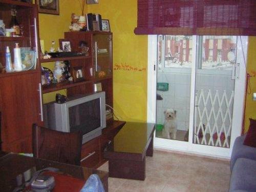 Zona: PEP VENTURA ( 33.000.000 Pts) Muy buen estado. Suelo