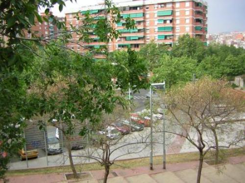 ZONA: SISTRELLS. Reformada 2 habitaciones en planta baja patio con