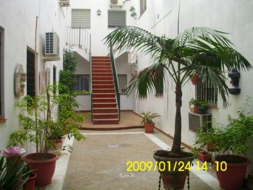 BONITA CASA EN EL CENTRO DE JEREZ PLANTA BAJA DE