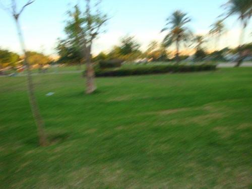 BONITO PISO. TERRAZA. PATIO PARA BARBACOA. AMUEBLADO. A/ACON. ASCENSOR. FACIL