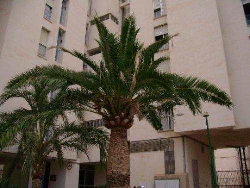 Piso en venta Palma zona Poligono de Levante.Piso de 82