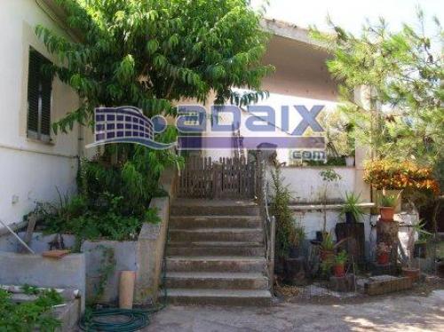 Estupenda finca de 11.000 m2 en terreno llano situada a