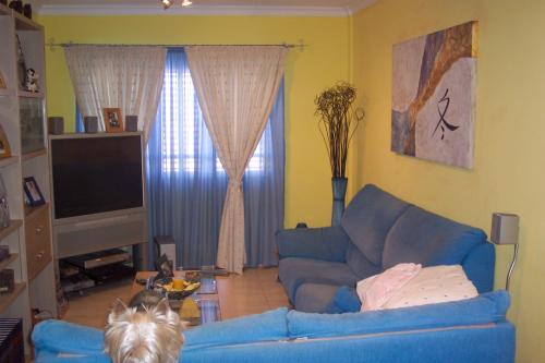 Estupendo piso en San Fernando. Planta baja. Zona residencial muy