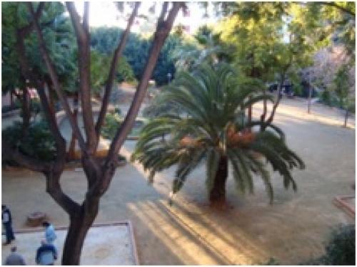 Piso en pleno centro de Marbella