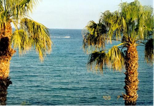 ATENCION VENDO 186M. FRENTE AL MAR AL 50% DE SU VALOR