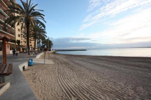 TORREVIEJA,APTO CERCA PLAYA 2 HABS SOLAMENTE 60.000E