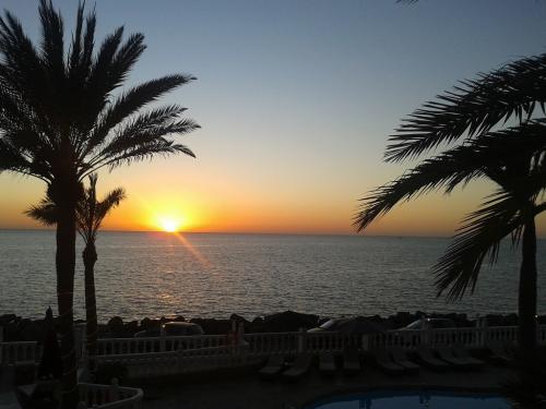 Descripción de Piso 300 m en primera linea de costa+ Local/Garaje independiente 40 m