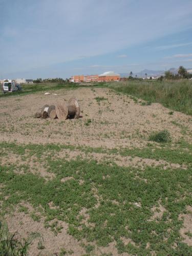 ROSNELY VENDE 2 TAULLAS Y MEDIA DE TIERRA RUATICA EN LA HUERTA DE COX
