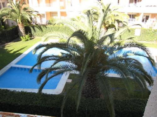 TORREVIEJA,CERCA PLAYA,2 HABS,PISCINA,GRAN PRECIO.