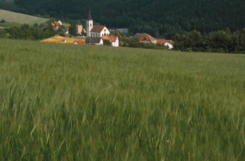 Hacienda agrícola y turística en Italia