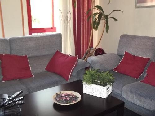 ESTUPENDO PISAZO EN ENTREVIAS