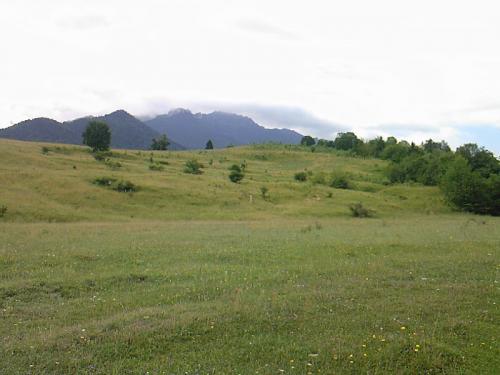 Parcela Turistica en Rumania !