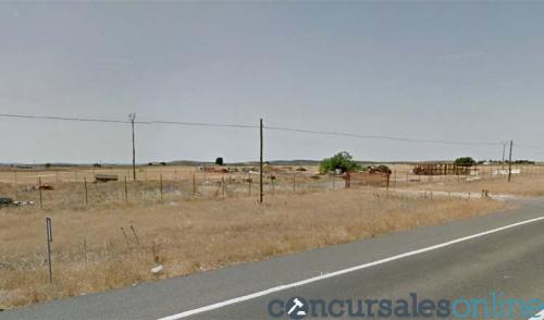 Subasta de Finca de regadío en TORRALBA DE CALATRAVA (Ciudad Real)