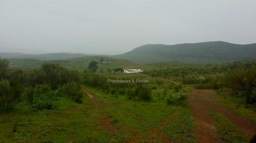 Gran finca ganadera en sevilla