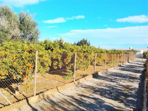 CASA CON TERRENO EN SAN PEDRO MURCIA