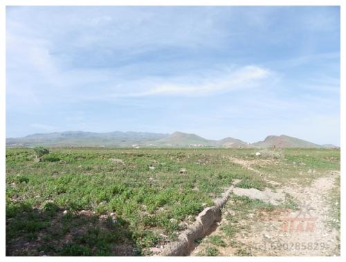 GRAN TERRENO urbanizable industrial al lado del aeropuerto de Gran Canaria islas