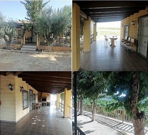 Venta terreno con casa y plantado de arboles Crevillent