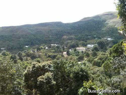 Terreno en venta - La Niebla - El Junquito - Venezuela